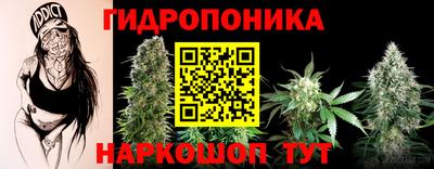 spice Жуковский