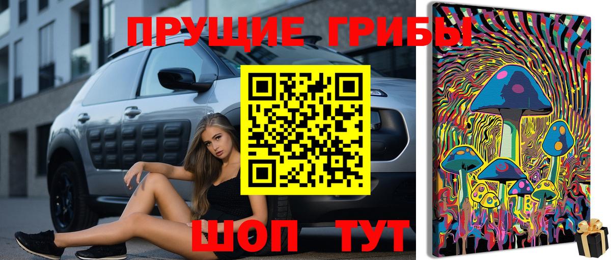 Псилоцибиновые грибы прущие грибы Минусинск